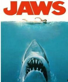 海洋爆料大白鲨事件视频,大白鲨神秘事件视频曝光 第2张 海洋爆料大白鲨事件视频,大白鲨神秘事件视频曝光 第2张