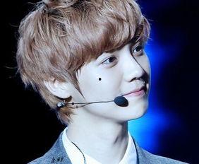 鹿晗爆料韩国人视频大全,韩国人视频大全背后的真实故事