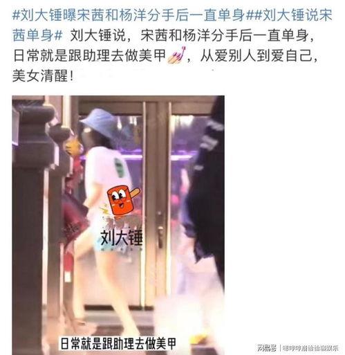 刘大锤最新爆料直播杨洋,杨洋幕后故事大曝光 第2张 刘大锤最新爆料直播杨洋,杨洋幕后故事大曝光 第2张